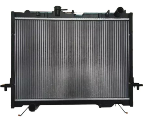 Radiador Agua Motor Great Wall Wingle 2.2 Nafta